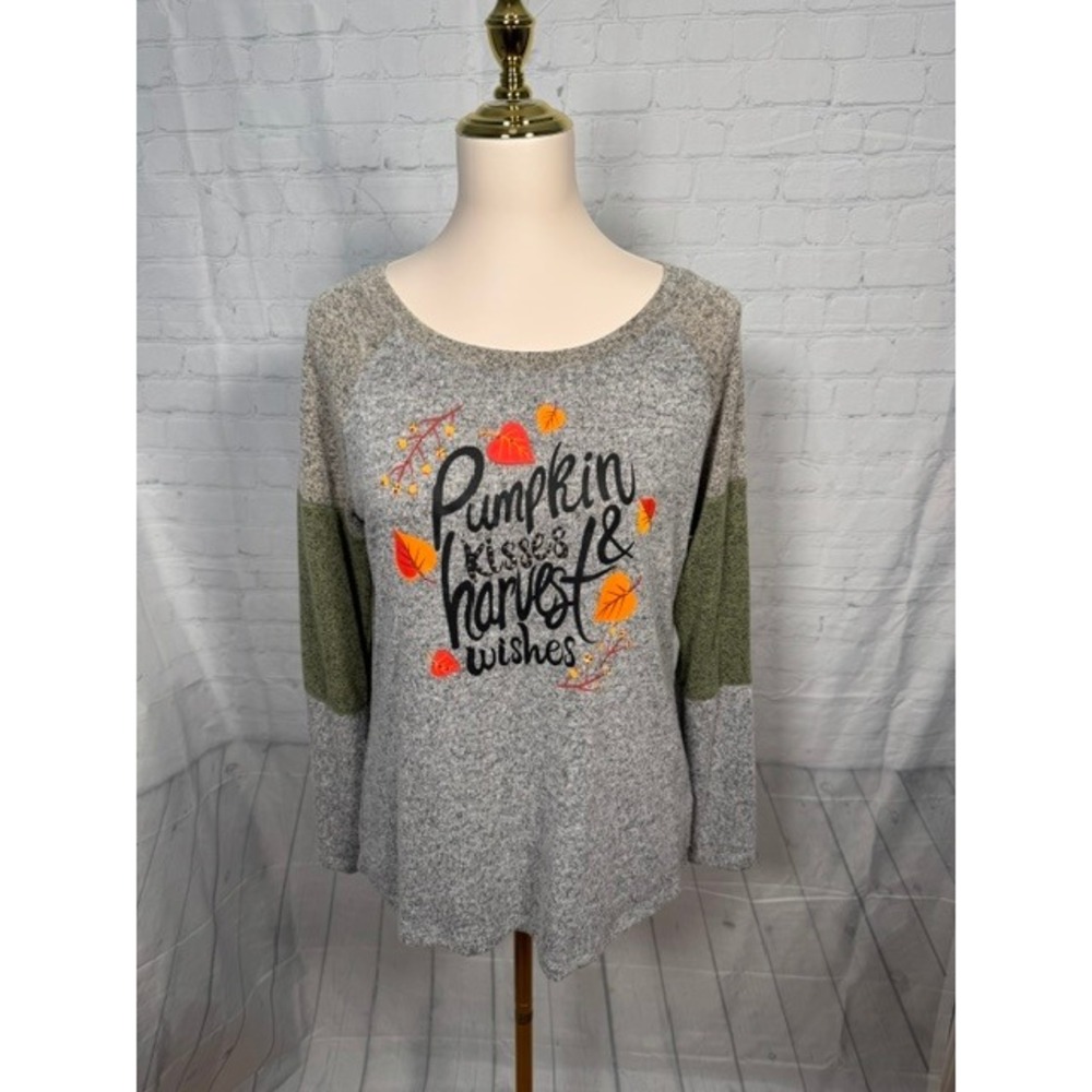 NWOT Kate Park Pumpkin Kisses Harvest Wishes Colorblock Top Women's S